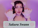 Video shows SakuraSwann